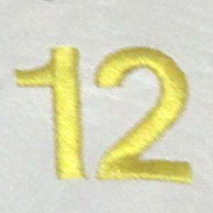 Embroidery {} Manchester Judaica