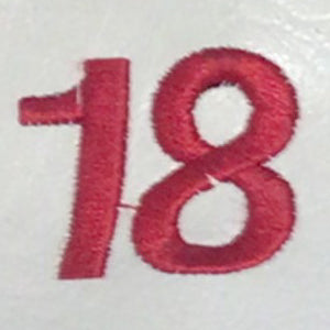 Embroidery {} Manchester Judaica