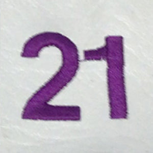 Embroidery {} Manchester Judaica