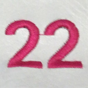 Embroidery {} Manchester Judaica