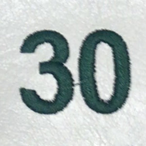 Embroidery {} Manchester Judaica