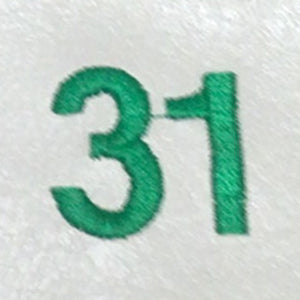 Embroidery {} Manchester Judaica