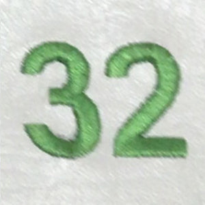 Embroidery {} Manchester Judaica