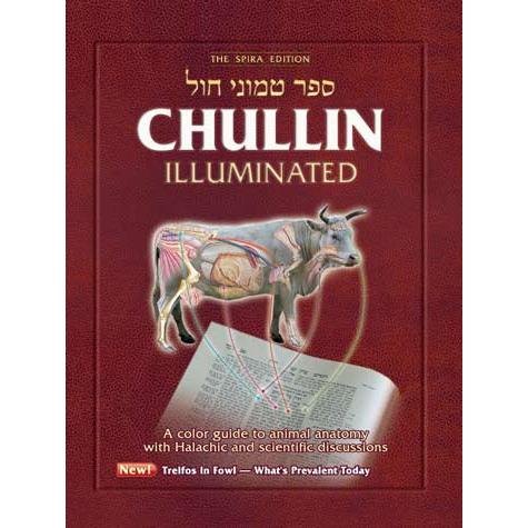 Chullin Illuminated {ספרים-גמרא תלמוד-גמרא} Manchester Judaica