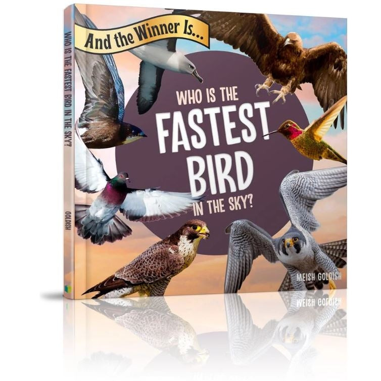 Who is the fastest bird in the sky? {Books-Kids-Books for Children} Manchester Judaica
