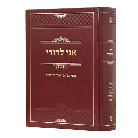 אני לדודי הרב שריה דבליצקי