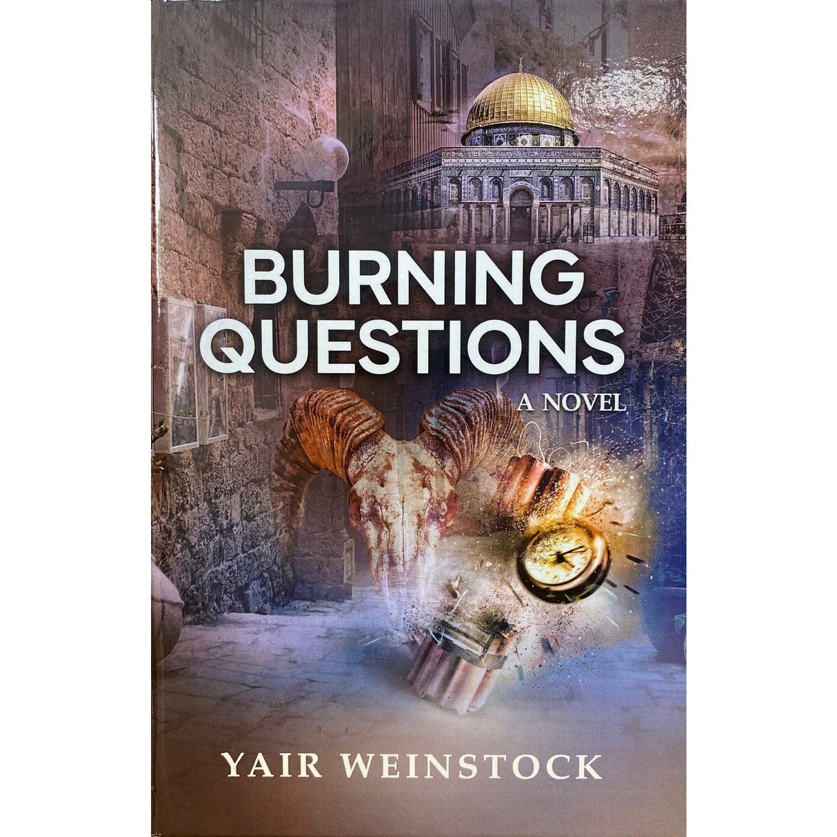 Burning questions Books-English-To be sorted 161275 Manchester Judaica