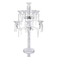 Crystal Candalabra 11 Branch {Judaica-Lecht-Candlesticks, Candelabra} Manchester Judaica