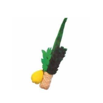 Plush Lulev and Esrog {Holiday-Sukkah-Toys} Manchester Judaica