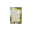 Medium Asher Yotzar {ספרים-תפילות-אשר יצר} Manchester Judaica