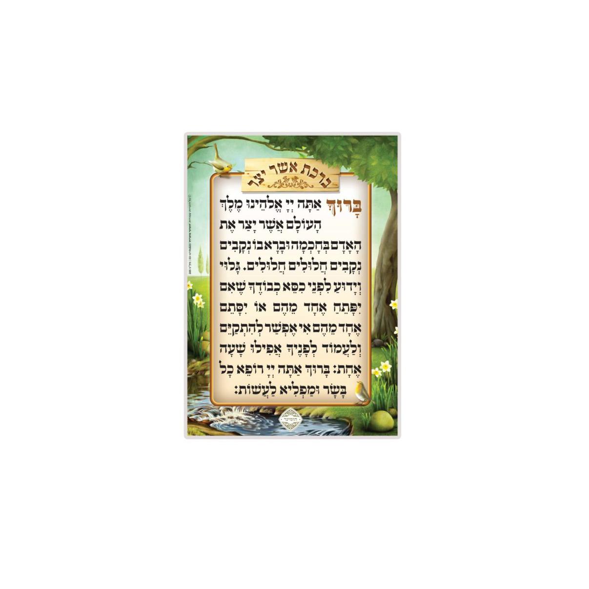 Medium Asher Yotzar {ספרים-תפילות-אשר יצר} Manchester Judaica