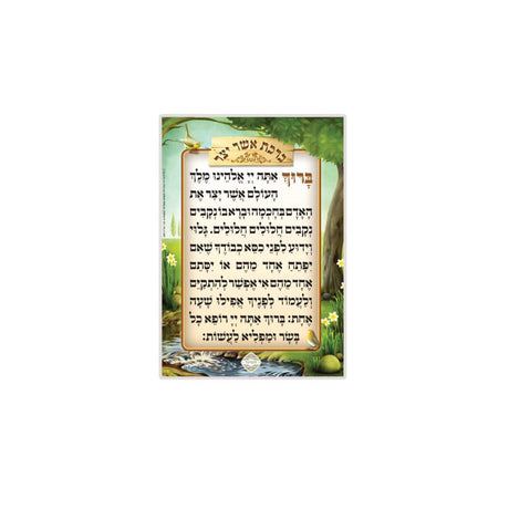 Medium Asher Yotzar {ספרים-תפילות-אשר יצר} Manchester Judaica