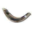Shofar Ram C3 {Holiday-Rosh Hashanah-Shofar} Manchester Judaica