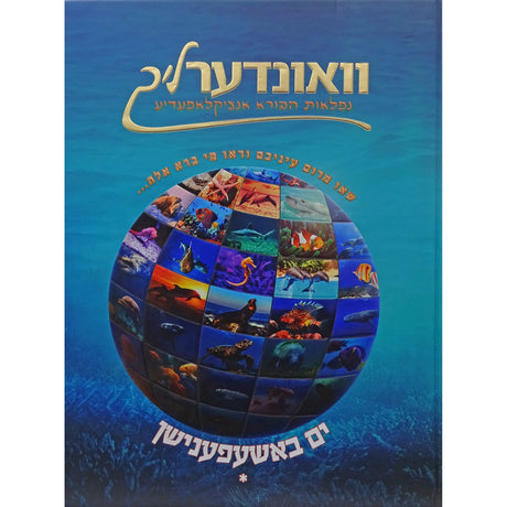 וואונדערליך #6 - ים באשפענישן רגיל - אידיש Books-אידישע ביכער-to be sorted 158095 Manchester Judaica